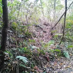 赤坂山城跡