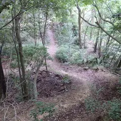 落葉山城跡
