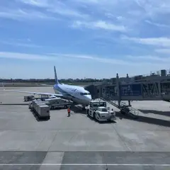 大阪（伊丹）空港