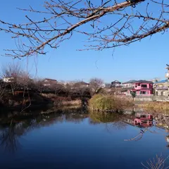 秦野盆地湧水群