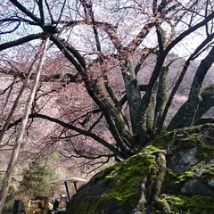 生野高原カッセル