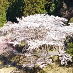 悟真寺