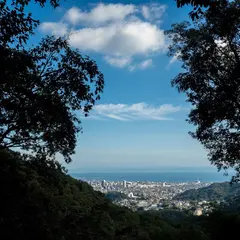 ひよどりごえ森林公園