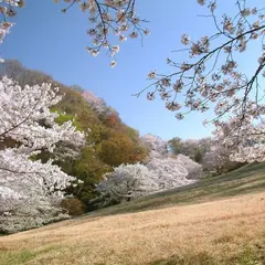 長沼公園