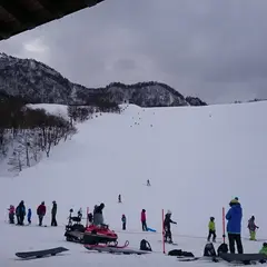 氷ノ山国際スキー場
