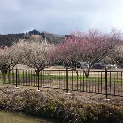 三ッ塚史跡公園(三ツ塚廃寺跡)