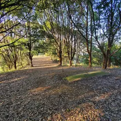 壇場山古墳