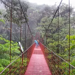 モンテベルデ自然保護区（Monteverde Cloud Forest Biological Preserve）