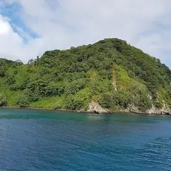 ココ島（Coco Island）