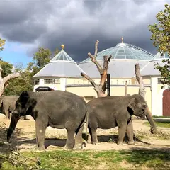 ヘラブルン動物園