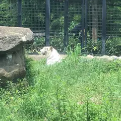 平川動物公園 どうぶつ学習館