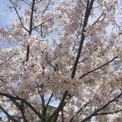 南沖児童交通公園