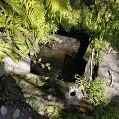 天然温泉湯乃山