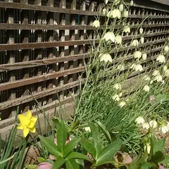 ガーデンカフェ花遊庭