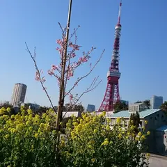 タイムズザ・プリンスパークタワー東京