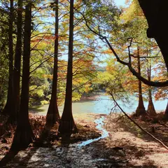 篠栗九大の森 北駐車場