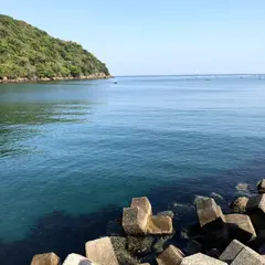 富浦新港