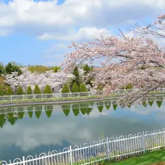 創価学会戸田記念墓地公園