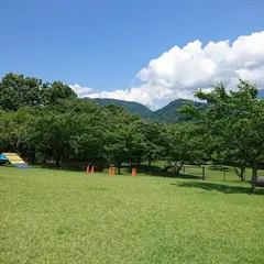 富士川クラフトパーク ドッグラン