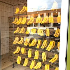 めっちゃバナナ太田店