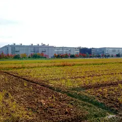 ジャパンディスプレイ石川工場