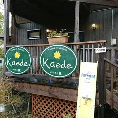 欧風食堂Kaede