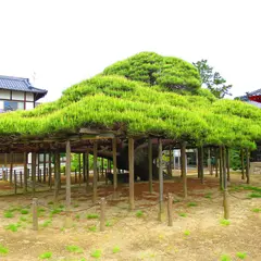 無能寺