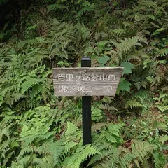 古道 鯖街道