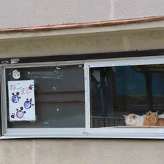 猫窓