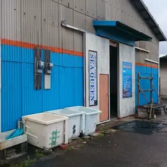 宮崎SeaQueen南郷ダイブセンター
