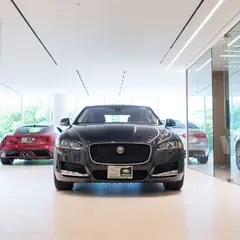 ジャガー