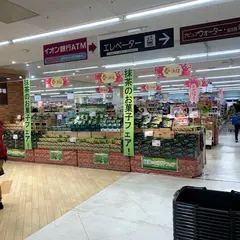 イオン鹿児島中央店