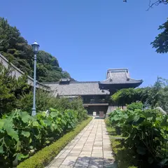 清見寺庭園