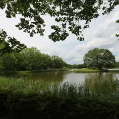 国営昭和記念公園 水鳥の池