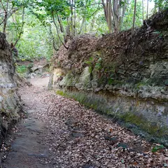 高野の切通し