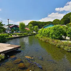 泉の郷 湧水公園