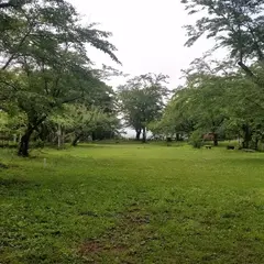 台城公園（大島城跡）