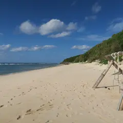 パラダイスビーチ