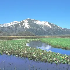 尾瀬沼