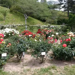 日本国花苑バラ園