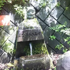 玉原高原 ブナの湧き水