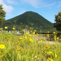 野洲市