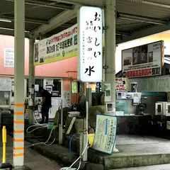 南紀白浜富田の水