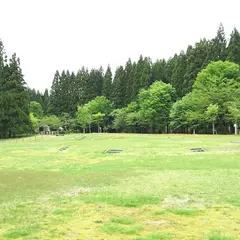 胎内平