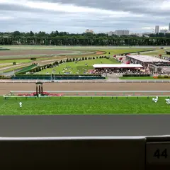 札幌競馬場