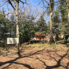 鎌田城跡