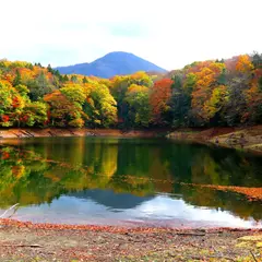 日暮の池