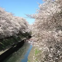 善福寺川緑地