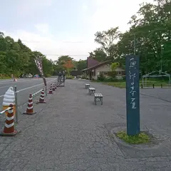 戸隠神社奥社入り口前駐車場(有料)