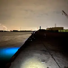 富津新港